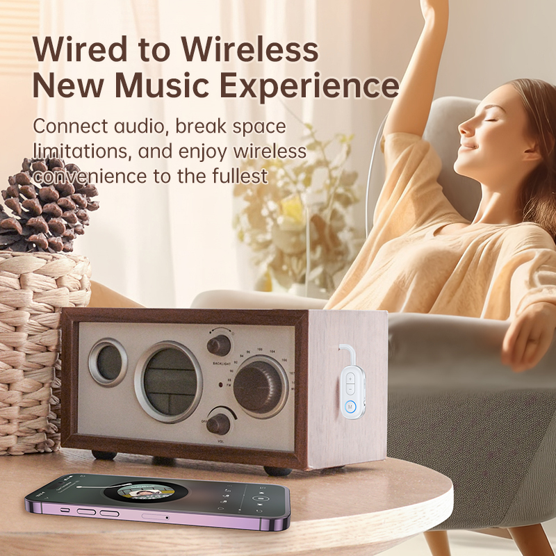 Bluetooth 5.3 Audio Transmitte - Desk Hifi Setup review and price